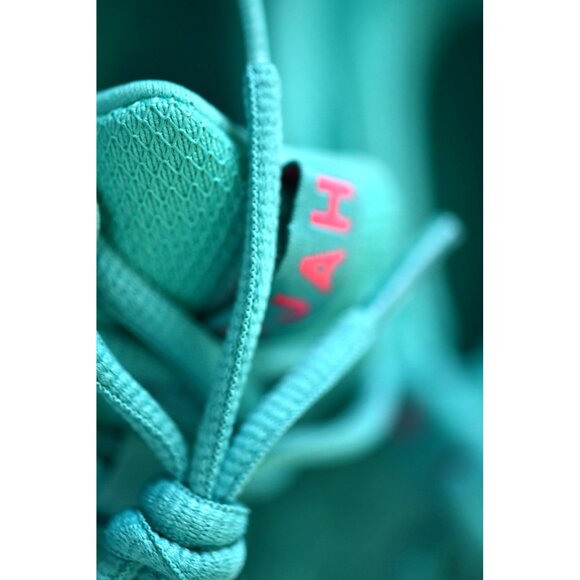 New! NIKE SB Zoom Nyjah 3 | D1016 C629 | COLOR: Dusty Cactus - Picture 15 of 16